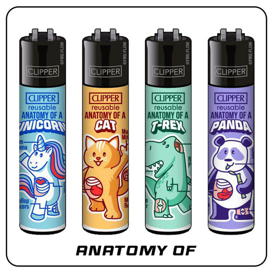 Clipper - Anatomy of